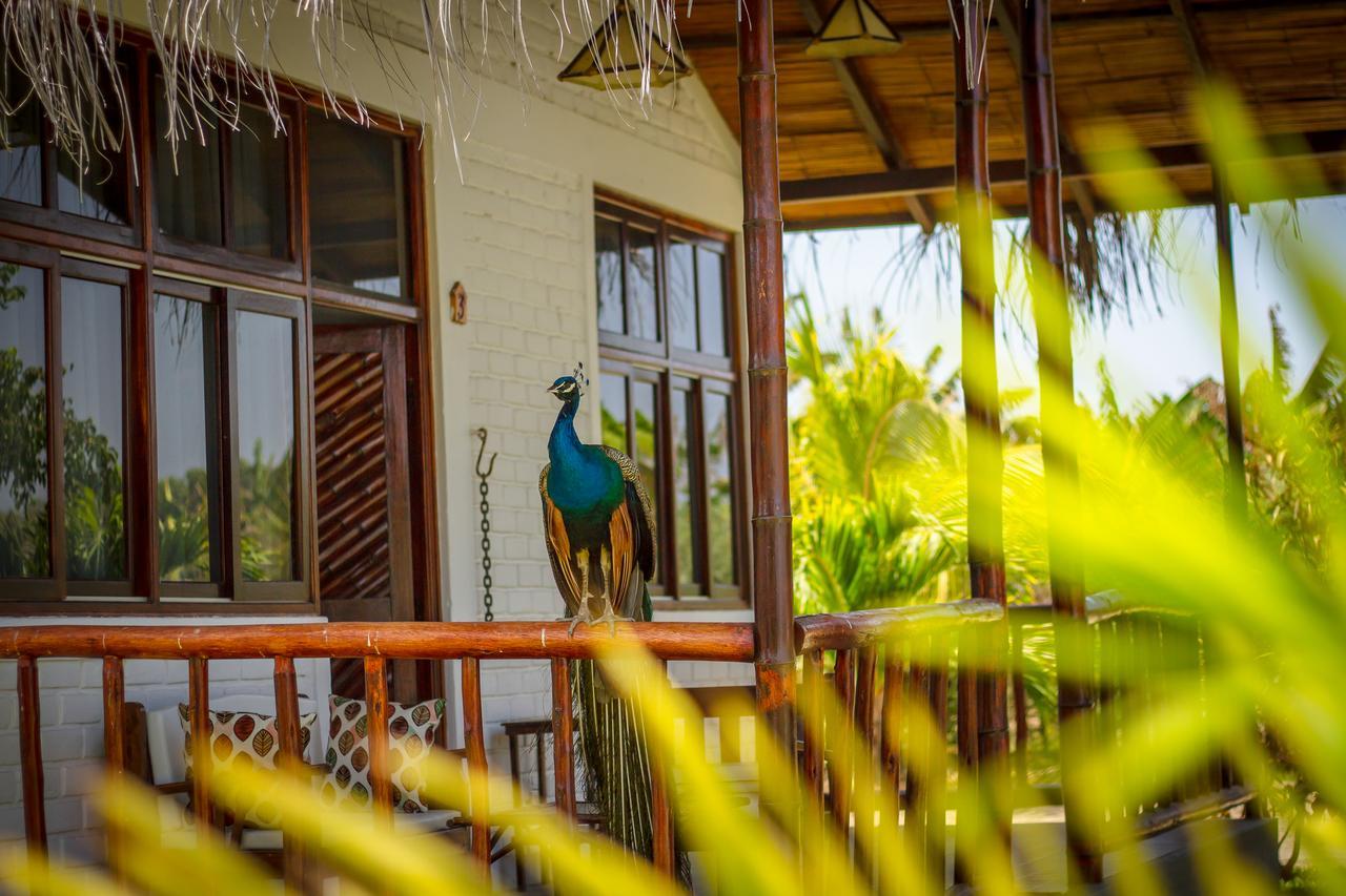 La Choza Bungalows Tambo Grande المظهر الخارجي الصورة
